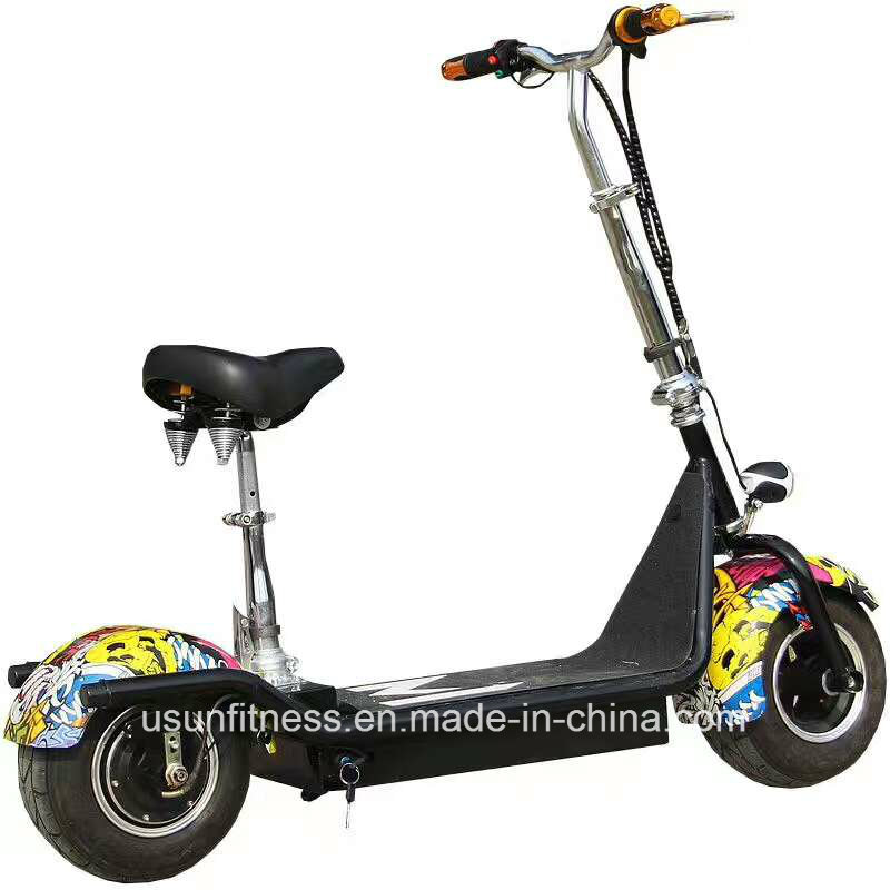 Electric Bike with Cheap Price