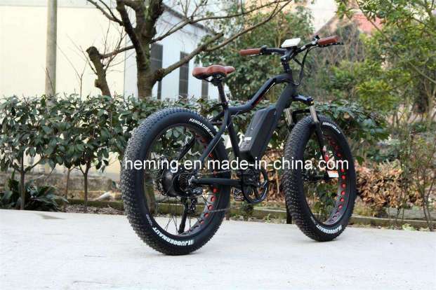 Great Quality and Fashion Electric Bike